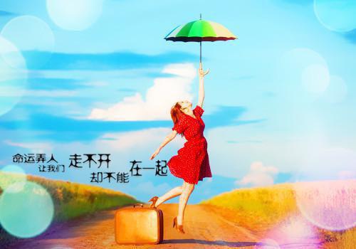 天选之子叶明道小说 天选之子叶明道免费阅读