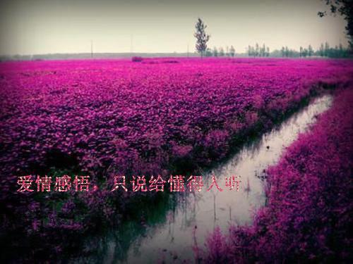 玄幻：七国争霸，世子他杀伐果断（秦秋薛明月）全文免费_（秦秋薛明月）玄幻：七国争霸，世子他杀伐果断后续阅读（秦秋薛明月）
