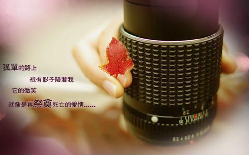 文章简述作品嫁世子养崽崽的穿越日常(许清宜谢韫之)全文免费_(许清宜谢韫之)文章简述作品嫁世子养崽崽的穿越日常后续阅读(许清宜谢韫之)