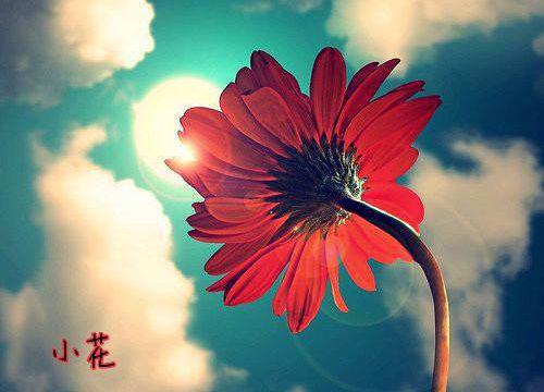 梁安欣顾辞年小说顾辞年梁安欣完结版免费小说全文阅读