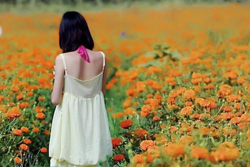女配有空间：拐个大佬玩转七零「免费小说」林心柔林惊月大结局阅读