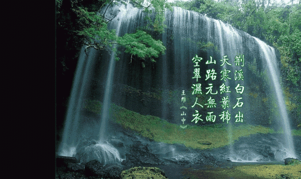 盛世挚宠:家有萌妻我很忙宝藏(沈颜颜唐琛)全文浏览_盛世挚宠:家有萌妻我很忙宝藏全文浏览