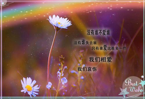 以后是对爱情失望的句子