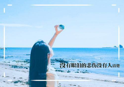 《乔晗萧九辞》乔晗,望去,宋小姐完结版全章节阅读