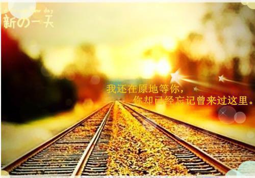 表妹万安阮玉芙全本免费阮良娣,苍兰,华京小说全文试读