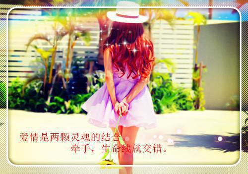 小说唐妩宋禹丞全章节免费阅读