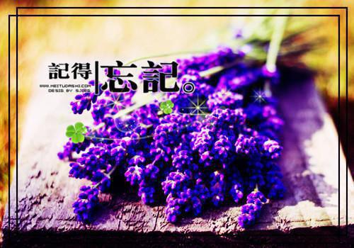 小说洛棠欢裴卿第23章精选阅读