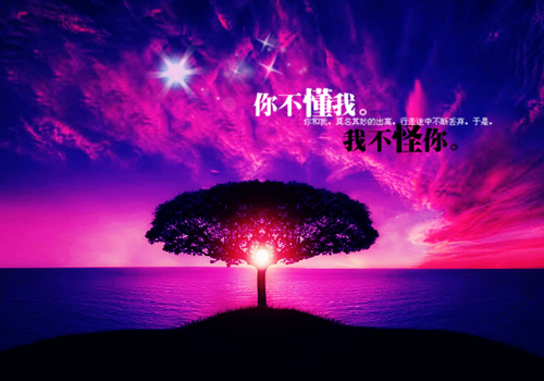 幸福人生正能量句子