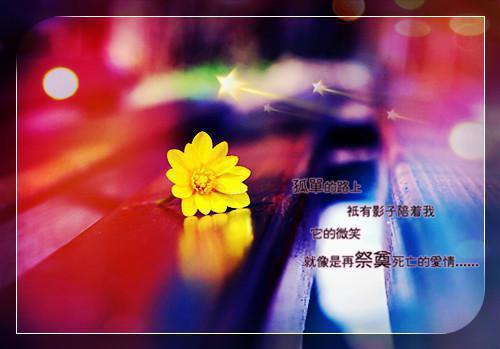 有哲理正能量的句子大全集