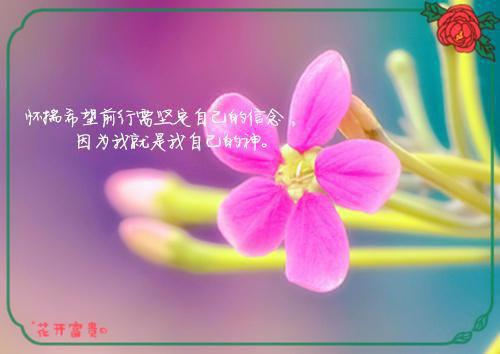 姜宁玉江呈胤小说全文（姜宁玉江呈胤后续）全文免费阅读无弹窗大结局_姜宁玉江呈胤小说全文免费阅读（姜宁玉江呈胤小说全文）