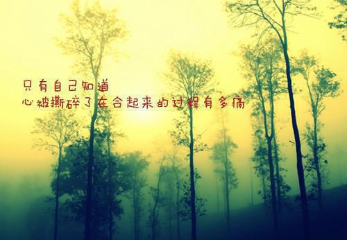 救命恩人是杀手？大小姐她照样追全文阅读（南心渝楚冗）最新章节_救命恩人是杀手？大小姐她照样追全文阅读