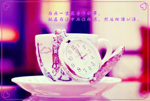 又逢银杏黄时雨热门小说（容又）免费试读