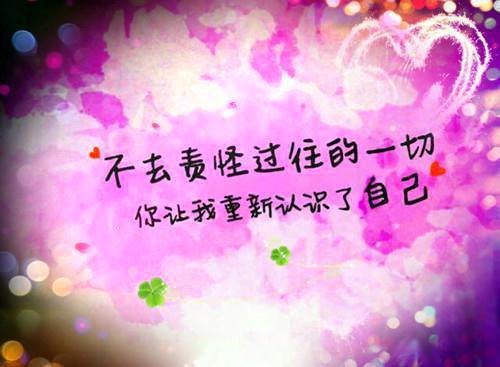 叶支花张大虎全章节_精选篇章 拒绝PUA，从掀翻侄子一家开始小说阅读