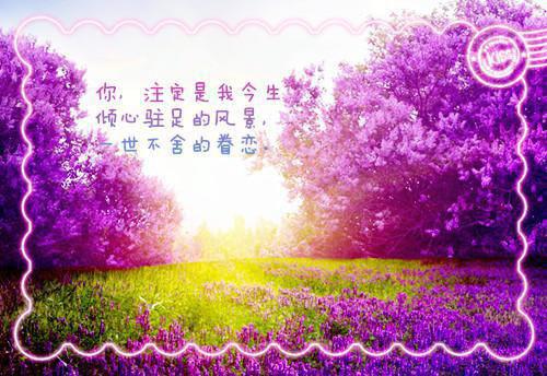 朋友圈说说正能量句子大全唯美伤感