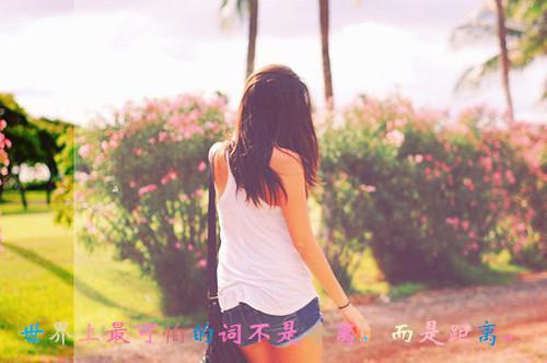 烛火如愿小说平妻,姜玉,商女热门小说完结版阅读
