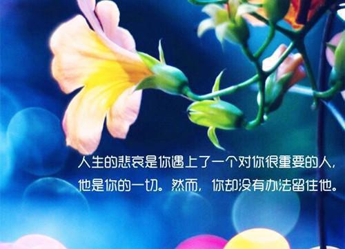 全本小说吕梁顾冉高冷,车内,吕少全文免费阅读