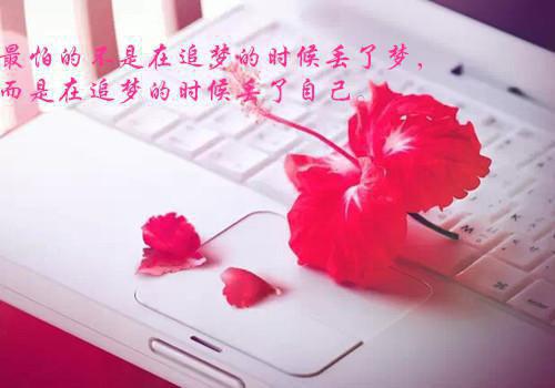 (番外)+(全文)朝旭作歌，且停且忘：结局+番外阅读_(裴朝旭阮婧：结局+番外)朝旭作歌，且停且忘：结局+番外最新章节列表（裴朝旭阮婧：结局+番外）