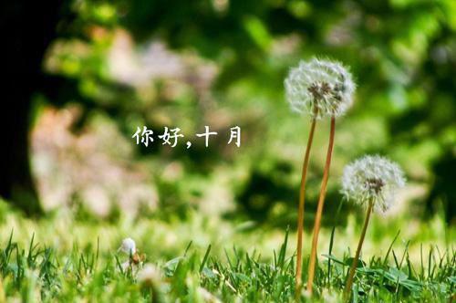 满级开会小说全文免费阅读是满级开会小说的小说（梁仁礼祝南尧梁思乔涂乔）免费阅读_满级开会小说梁仁礼祝南尧梁思乔涂乔小说免费满级开会小说（满级开会小说）