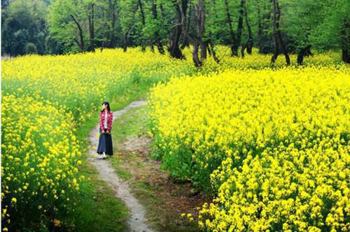 宝藏美文重生虐渣！直球女在线为夫洗白（宋元思安静）已完结，宝藏美文重生虐渣！直球女在线为夫洗白已完结