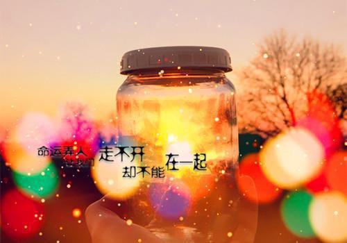 开局拒绝PUA,重生少爷他不干了免费热门小说(楚子业楚安尘)免费试读