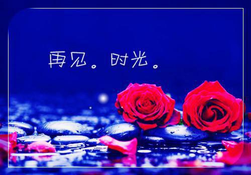 全章节小说我死后，妻子替白月光解剖了我by胡小秋阅读