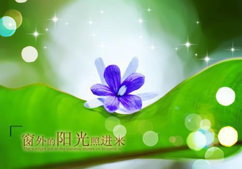 正能量句子简短励志语录