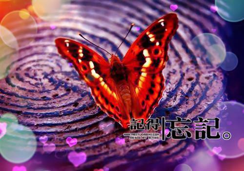 (番外)+(全文)越山海：结局+番外小说免费下载阅读_(宋心妍周京越颜微)越山海：结局+番外最新章节列表（宋心妍周京越颜微）