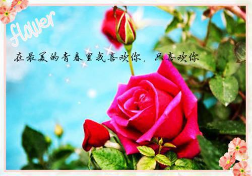 郁安柠顾楚航小说名小说全本完结版免费阅读