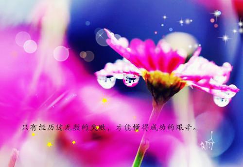 丛瑜靳临丛瑜靳临最新章节完整版小说阅读