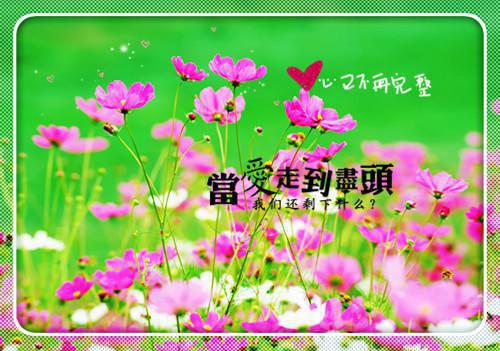 豪门：清冷美女把总裁撩炸了榜单最新章节列表_豪门：清冷美女把总裁撩炸了榜单全文免费阅读(ViVi1223)
