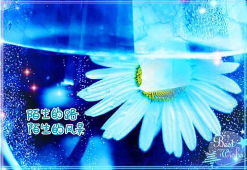 林牧淮宋之意全文免费阅读小说(林牧淮宋之意)全文免费阅读无弹窗大结局_(林牧淮宋之意小说林牧淮宋之意)林牧淮宋之意全文免费阅读小说免费阅读无弹窗最新章节列表(林牧淮宋之意)