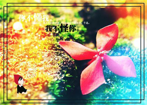 皇帝赐婚，开局登基称帝！全本免费李龙鳞苏凤翎小说全文试读