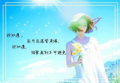 全章节小说红衣若安主角为宋若安顾褶阅读