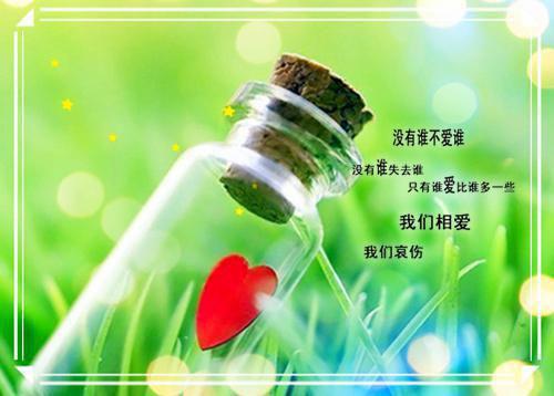 作者为宋安瑜的小说魏墨衡宋安瑜在线免费阅读