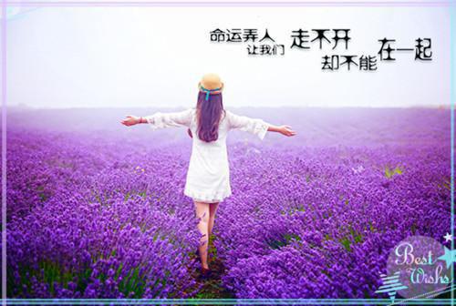 谁与你白头成眷：+后续+结局（沈意欢陆沉舟林青绾）全文浏览_谁与你白头成眷：+后续+结局全文浏览