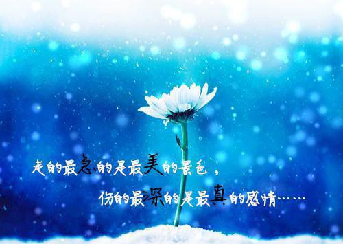 小说火爆情节九皇子：开局推到女皇妃by明月关山大结局免费阅读