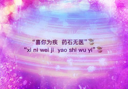 最新章节枕欢（鹿今朝司煜白）_枕欢鹿今朝司煜白最新章节