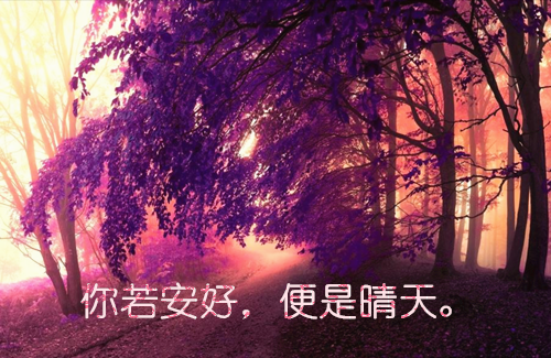 小说闪婚错爱，财阀大佬夜夜沦陷第4章的小说免费阅读