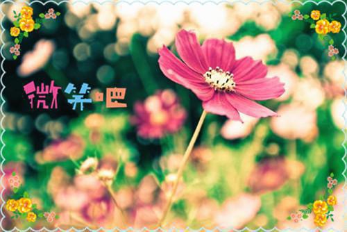 热血十足女配青梅竹马（林善初郑希）全文免费_（林善初郑希）热血十足女配青梅竹马后续阅读（林善初郑希）