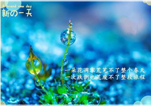 小说好文分享至尊神少全文阅读黎生苏玉莲完结版阅读
