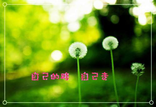穿越之无双郡主全文txt免费阅读第2章混乱美好中独少了她