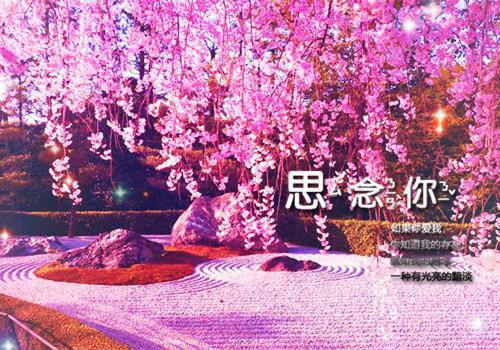 林窈姜津年完结版小说全章节目录阅读