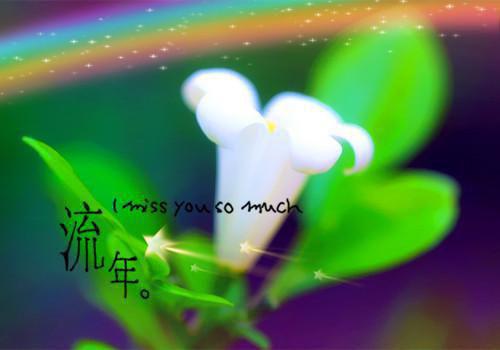 全章节小说陆衍琛苏知意小说结局by苏知意阅读