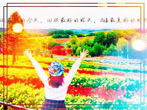 卫沐涵戚凛轩步月歌,戚先生,戚家小说_卫沐涵戚凛轩完结版阅读