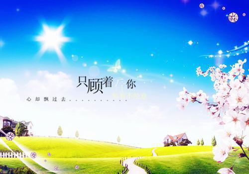 小说京城第一绿茶by山有扶苏大结局免费阅读
