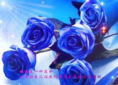 全章节小说青楼客主角为根丑赵锦阅读