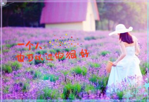 都市小说筝筝章节目录阅读