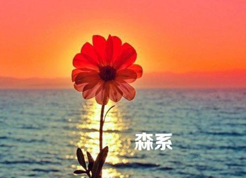 都市小说夏凉茉战北煊全文免费章节目录阅读
