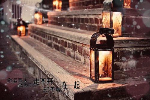 离婚后，陆总的替身新娘真香了全文小说全章节目录免费阅读