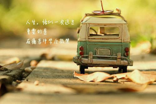 高赞小说墨珩戚小卿（戚小卿墨珩）完结阅读_戚小卿墨珩免费看全文